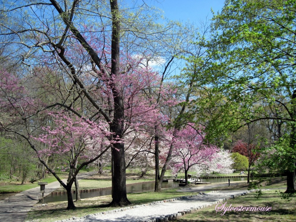 Stroll Through a Spring Paradise