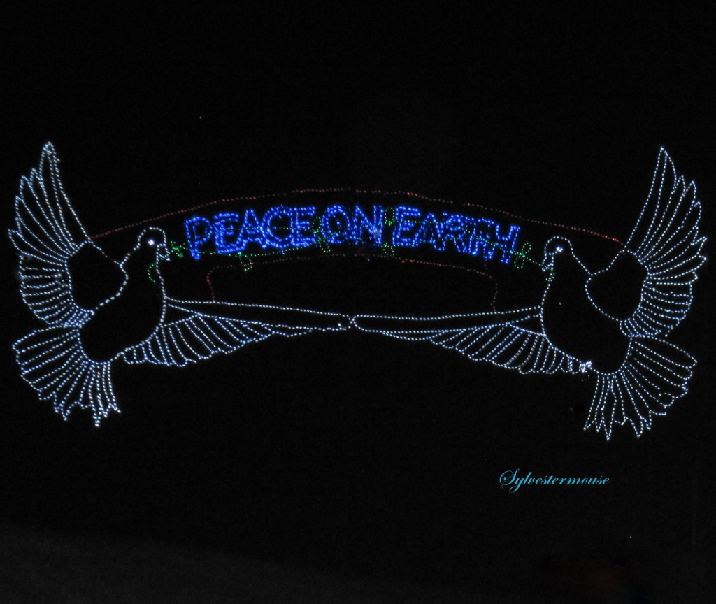 Peace on Earth Lights Photo by Sylvestermouse