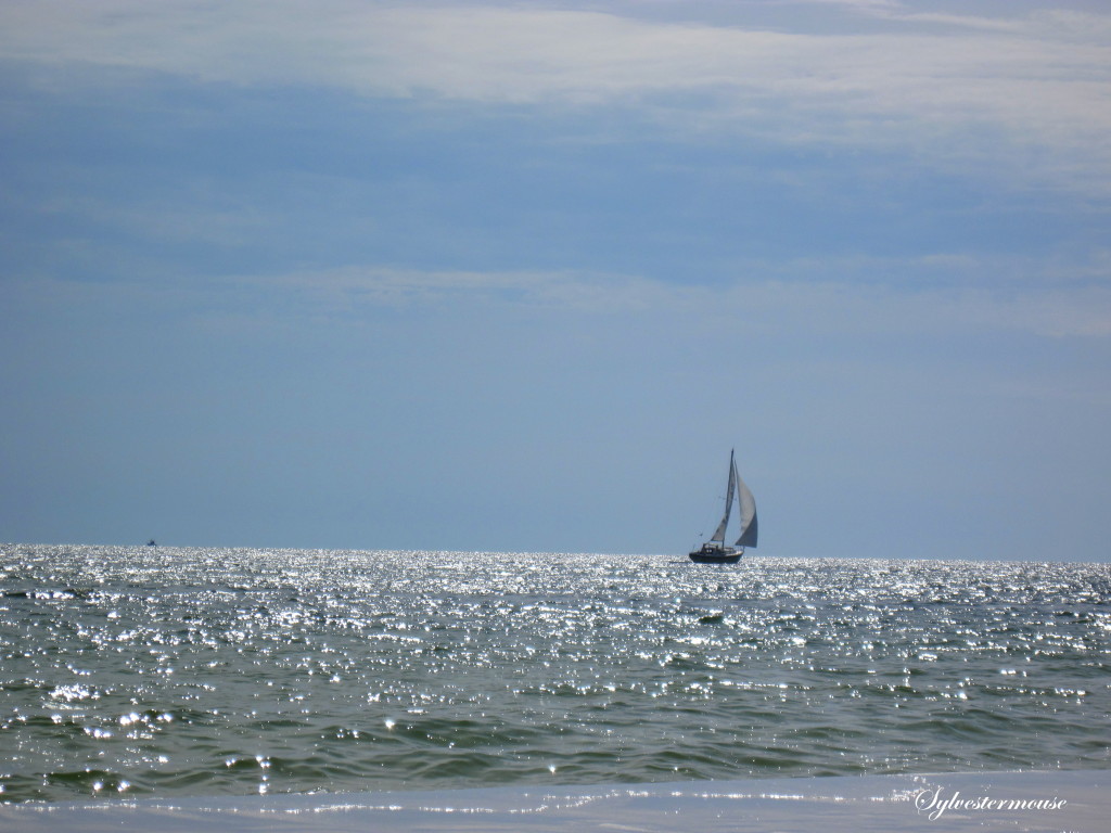 Sailboat photo by Sylvestermouse