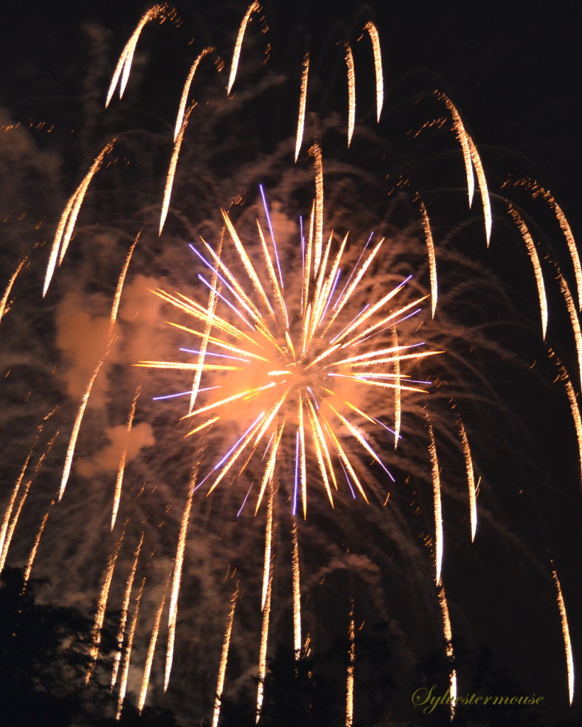 4th of July Fireworks photo by Sylvestermouse