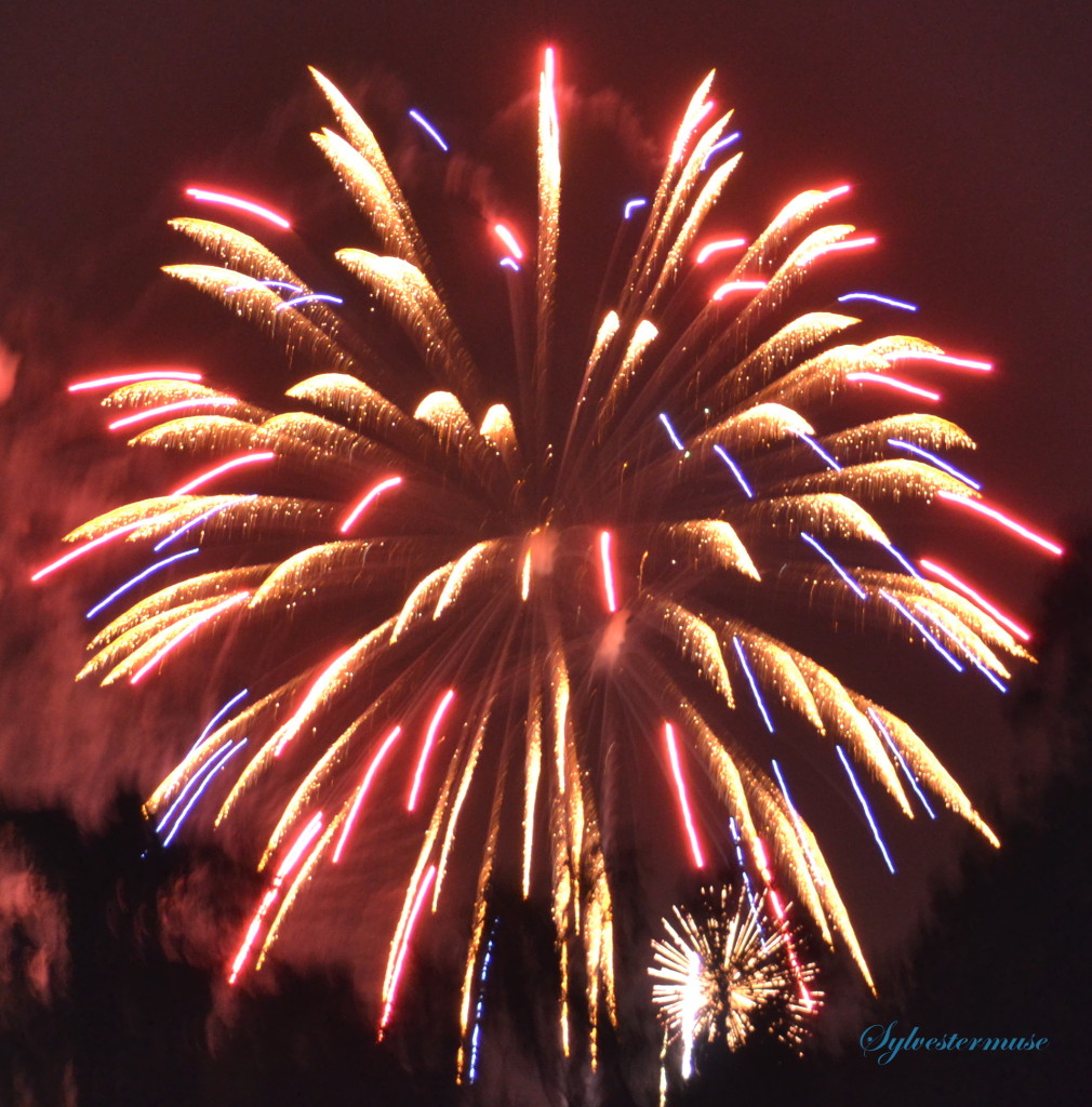 Independence Day ~ 4th of July Fireworks Photo - Photography by Sylvestermouse