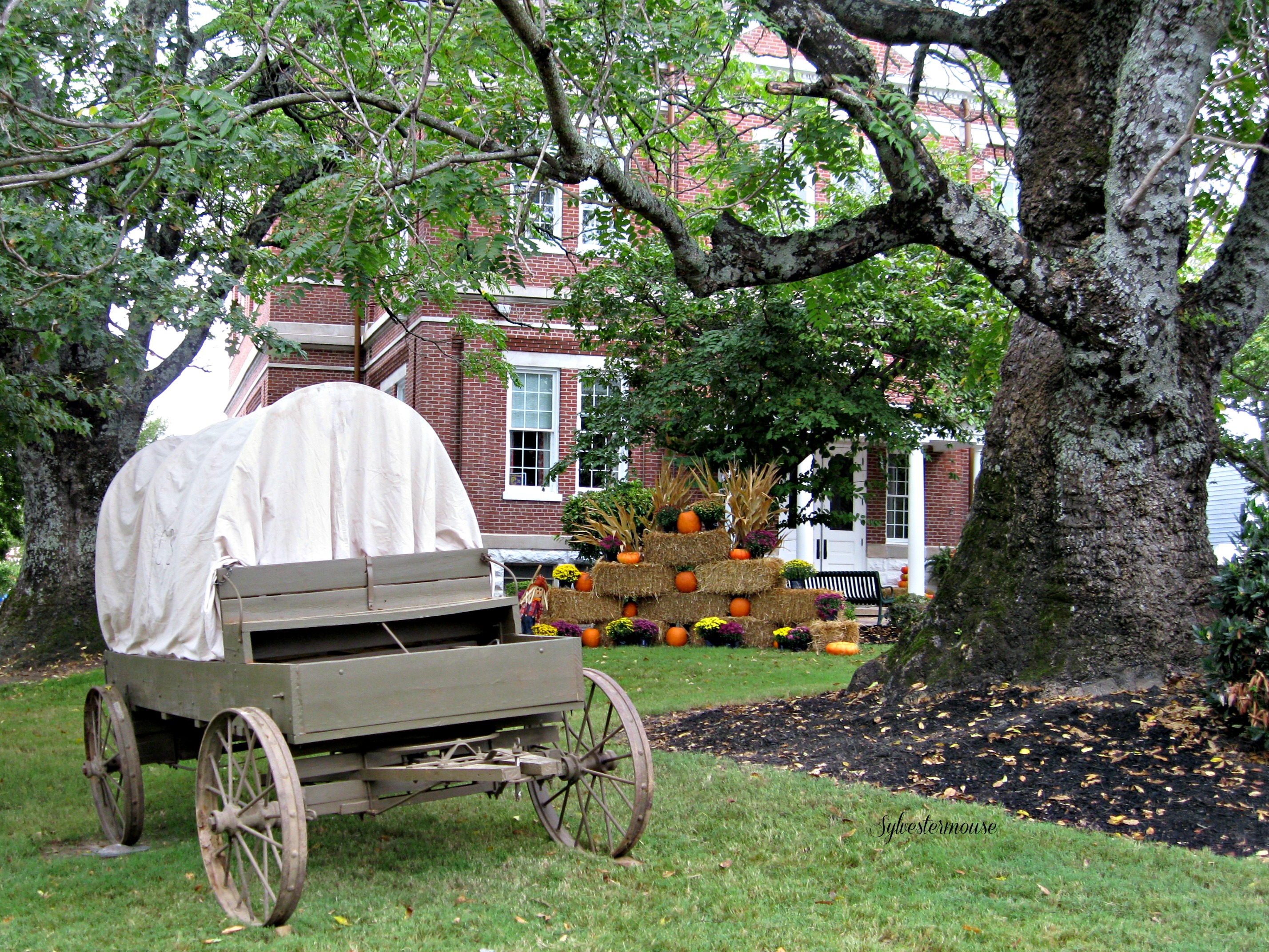 Outside Fall Decor